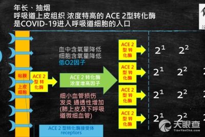 北京何氏投资管理有限责任公司何育伦 工商 风险信息 何氏投资 天眼查